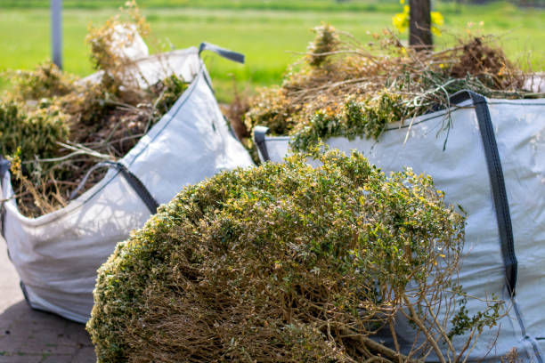 Professional Junk Removal in Norlina, NC